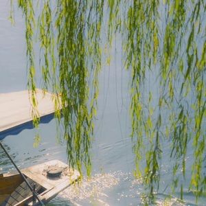 Meet your Posher, Alina